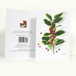 Winter botanical greeting card, Ilex Altaclerensis Golden King, Gold Variegated Holly, Cuileann