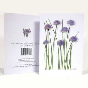 Spring botanical greeting card, Allium schoenoprasum, Chives, síobhais