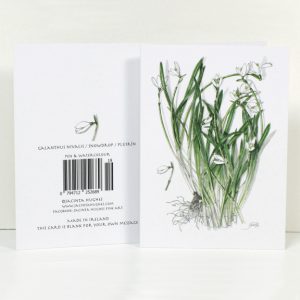 Spring botanical greeting card, Galanthus nivalis, Snowdrop, Plúirín sneachta