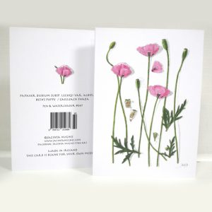 Spring botanical greeting card, Papaver dubium subsp. Lecoqii var. Albiflorum, Beth’s Poppy, Cailleach fhada