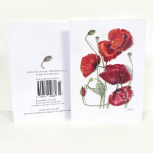 Spring botanical greeting card, Papaver rhoeas, common poppy, Cailleach dhearg, Flanders poppy