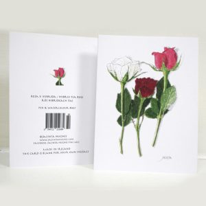 Spring botanical greeting card, Rosa x hybrid, Hybrid Tea Rose, Rós hibrideach tae