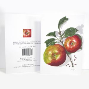 Autumn botanical greeting card, Malus domestica ‘Bramley’s Seedling’, Bramley Cooking Apple, úll cócarála