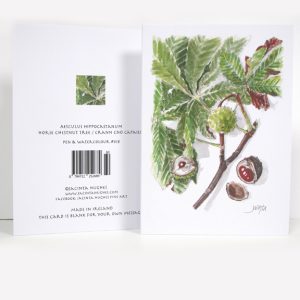 Autumn botanical greeting card, Acer palmatum, Japanese maple, mailp Sheapánach
