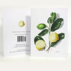 Autumn botanical greeting card, Citrus limon, lemon, líomóid