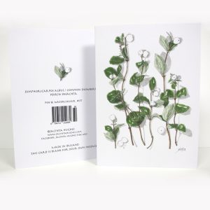 Autumn botanical greeting card, Symphoricarpos albus, common snowberry, Póirín sneachta