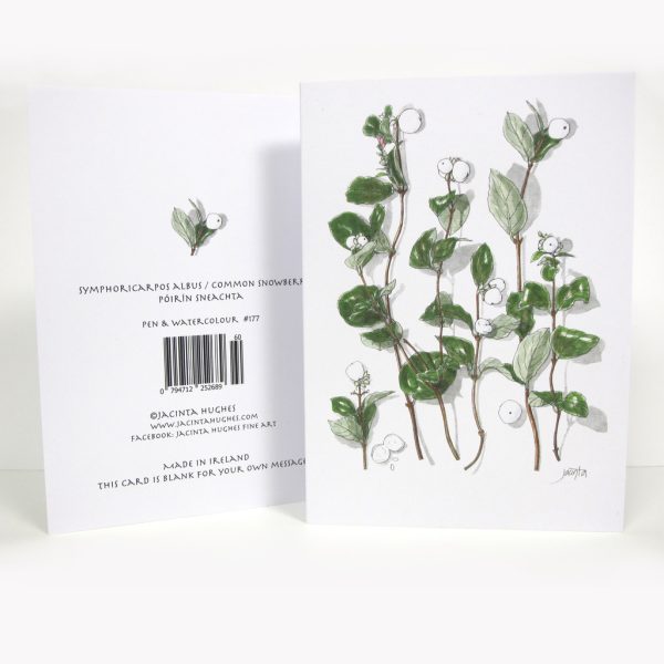 Autumn botanical greeting card, Symphoricarpos albus, common snowberry, Póirín sneachta