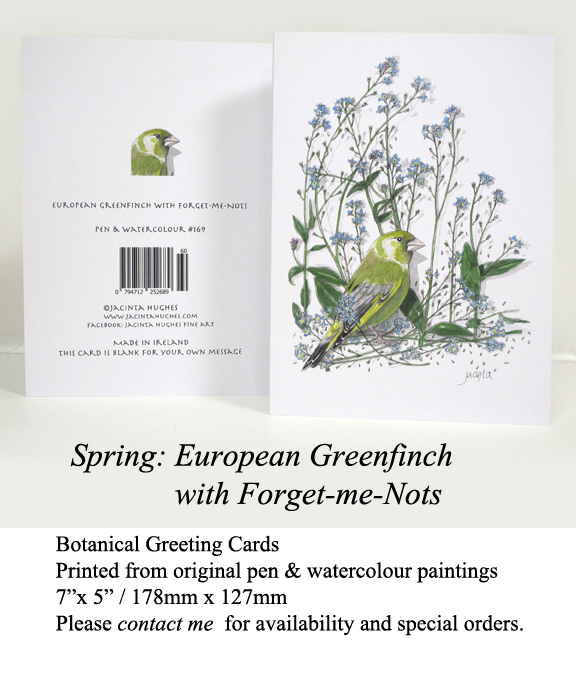 Spring botanical greeting card, European Greenfinch with Forget-me-Nots
