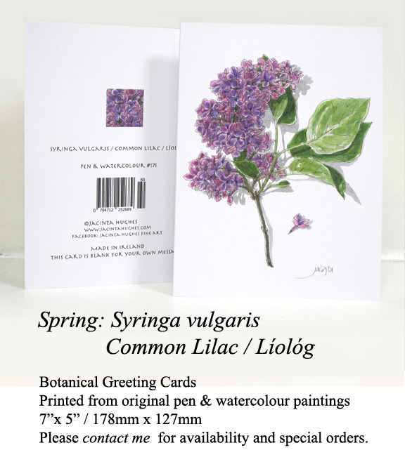 Spring botanical greeting card, Syringa vulgaris, Common Lilac, Líológ