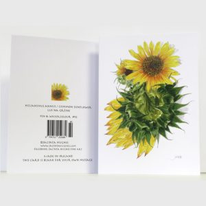 Summer Botanical Greeting Card, Helianthus annus, Common Sunflower, Lus na gréine