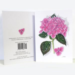Summer Botanical Greeting Card, Hydrangea macrophylla 'Forever Pink', Bigleaf hydrangea, Hiodrainsia