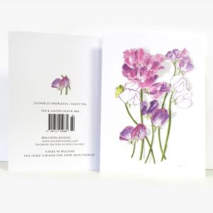 Summer Botanical Greeting Card, Lathyrus odoratus, Sweet Pea