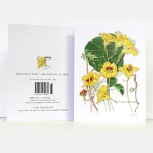 Summer Botanical Greeting Card, Tropaeolum majus, Nasturtium, Gleorán