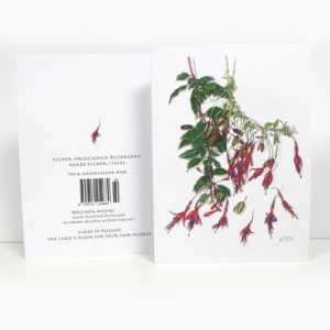 Summer Botanical Greeting Card, Fuchsia magellanica 'Riccartonii', Hardy Fuchsia, Fiúise