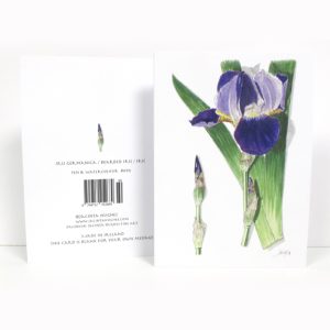 Summer Botanical Greeting Card, Iris germanica, Bearded Iris, Iris
