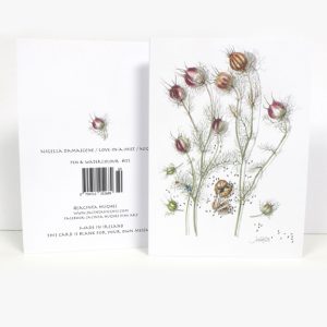 Summer Botanical Greeting Card, Nigella damascene, Love-in-a-mist, Nigéal