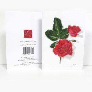 Summer Botanical Greeting Card, Rosa, Shrub rose, Rós