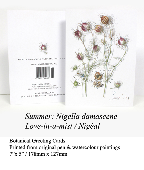 gallery-summer-botanical-greeting-card-nigella-damascene-love-in-a-mist-nigella