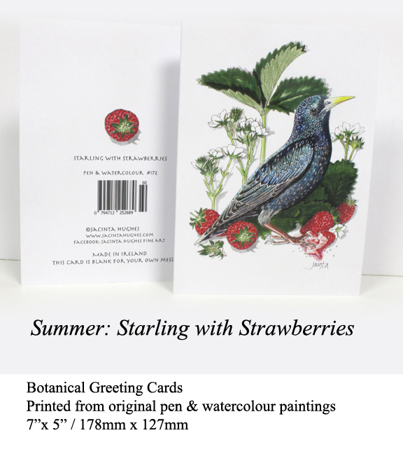 gallery-summer-botanical-greeting-card-starling-with-strawberries