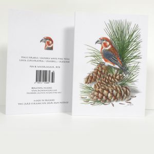 Winter botanical greeting card, Pinus strobus, Eastern White Pine, Péine Loxia curvirostra, Crossbill, Crosghob