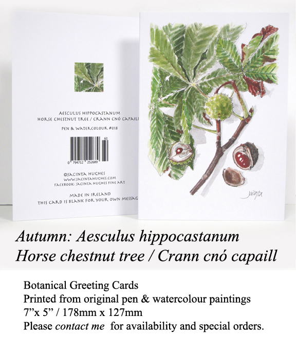 Autumn botanical greeting card, Aesculus hippocastanum / Horse chestnut tree / Crann cnó capaill
