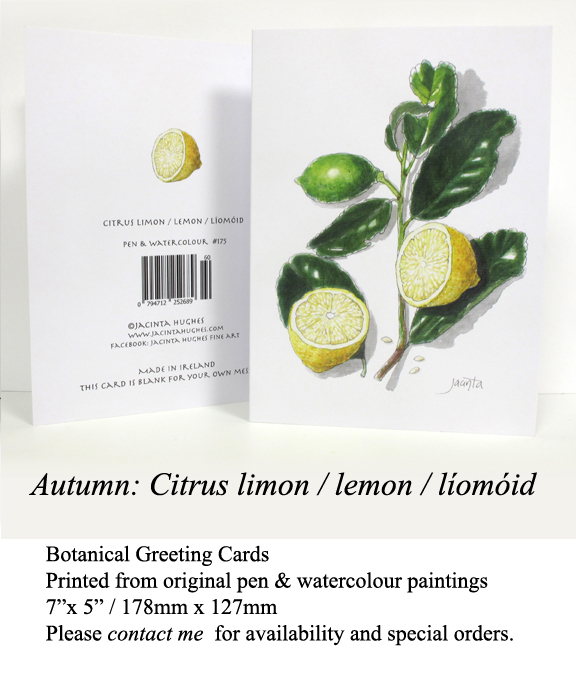 Autumn botanical greeting card, Citrus limon, lemon, líomóid