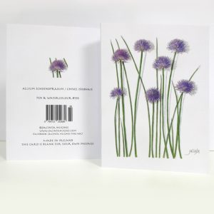 Spring botanical greeting card, Allium schoenoprasum, Chives, síobhais