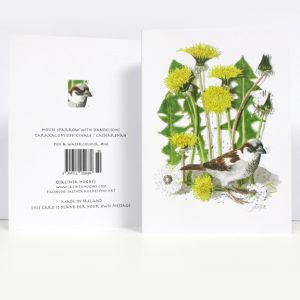 Spring botanical greeting card, House Sparrow with Dandelions, Taraxacum officinale, Caisearbhán