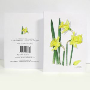 Spring botanical greeting card, Narcissus ‘Dutch Master’, Trumpet Daffodil, Lus an chromchinn