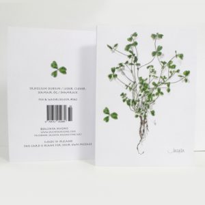 Spring botanical greeting card, Trifolium dubium, Lesser Clover, Seamair óg, shamrock