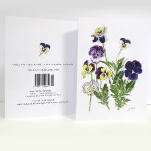 Spring botanical greeting card, Viola x wittrockiana, Garden Pansy, Goirmín