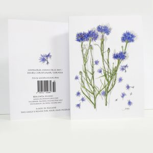 Summer Botanical Greeting Card, Centaurea cyanus 'Blue Boy' / Double Cornflower/ gormán