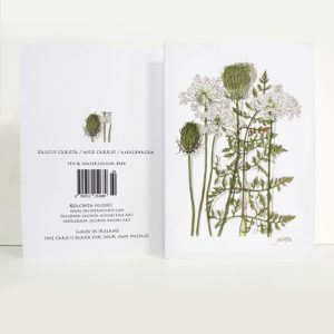 Summer Botanical Greeting Card, Daucus carota, Wild Carrot, Mealbhacán