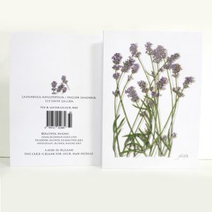 Summer Botanical Greeting Card, Lavandula angustifolia, English lavender, lus liath gallda