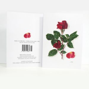 Summer Botanical Greeting Card, Rosa x hybrid, Hybrid tea rose, Rós