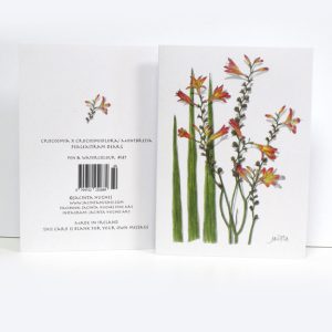 Autumn Botanical Greeting Card, Crocosmia x crocosmiiflora, Montbretia, Fealeastram dearg