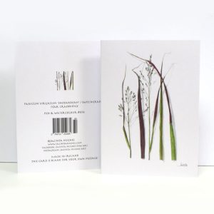 Autumn Botanical Greeting Card, Panicum virgatum 'Shenandoah', Switchgrass, féar craobhóige