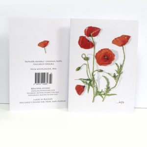 Autumn Botanical Greeting Card, Papaver rhoeas, common poppy, Cailleach dhearg, Flanders poppy