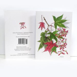 Autumn Botanical Greeting Card, Acer palmatum, Japanese maple, mailp Sheapánach