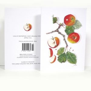 Autumn Botanical Greeting Card, Malus domestica 'Cox's Orange Pippin', Apple, úll