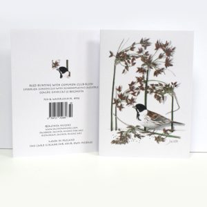 Autumn Botanical Greeting Card, Reed Bunting with Common Club-rush