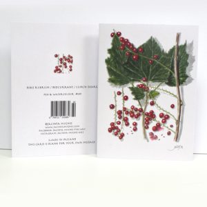 Autumn Botanical Greeting Card, Ribes rubrum, Redcurrant, cuirín dearg